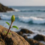 Pflanze, Stein, Meer